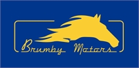 Brumby Motors - Car service in Sydney Brumby Motors