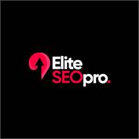 Professional SEO Services Elite SEO Pro