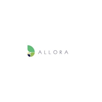 Allora Solutions Group Allora Solutions Group
